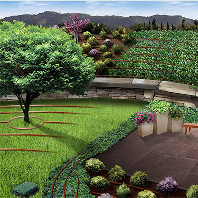 Manual de Instalación de Goteo Rain Bird