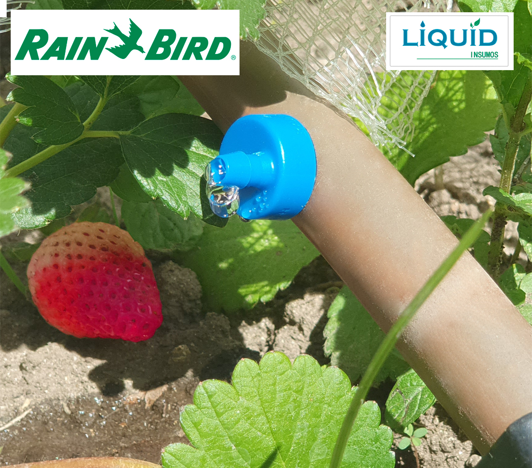 Gotero Rain Bird autocompensado salida arponada