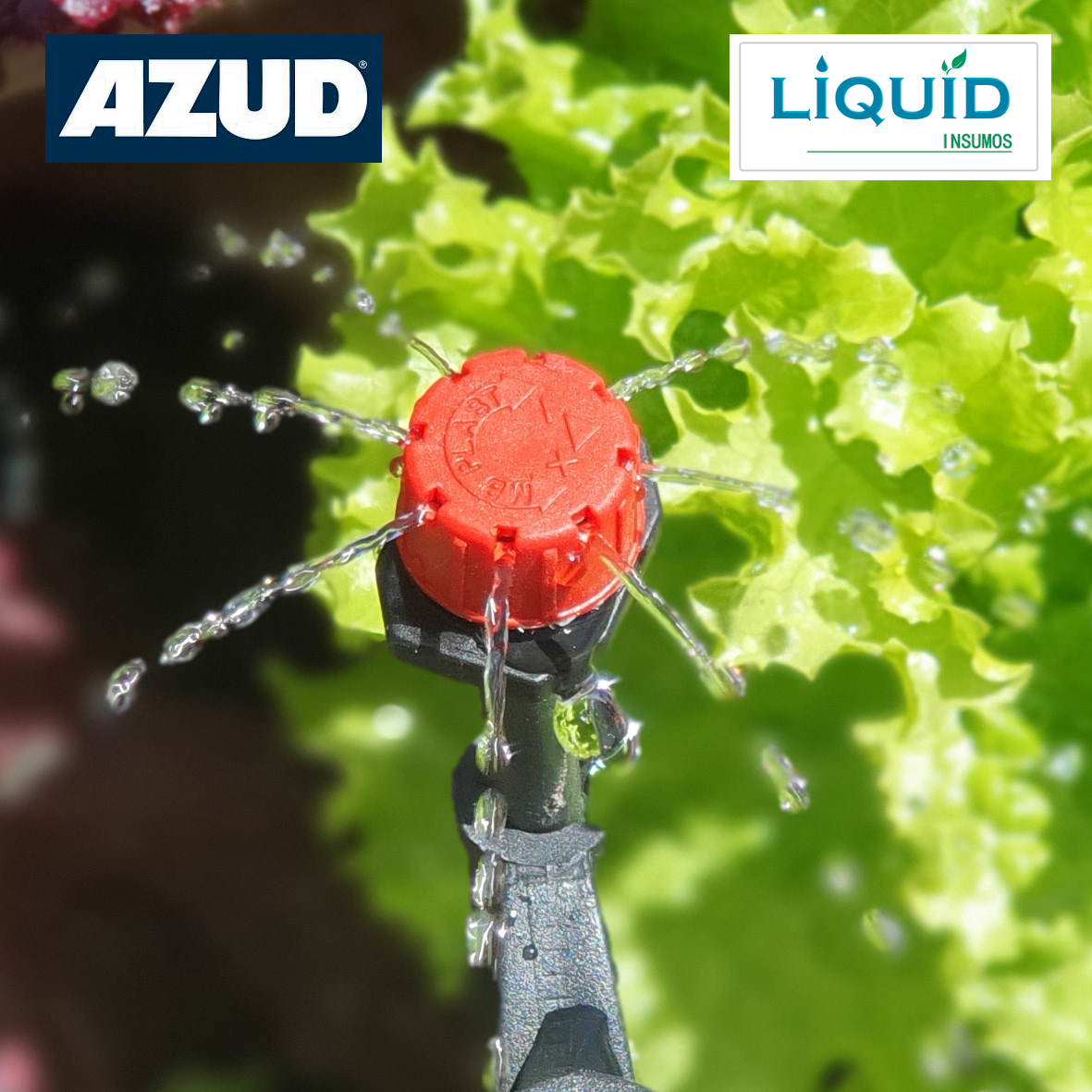 Gotero regulable detalle del regulador de caudal